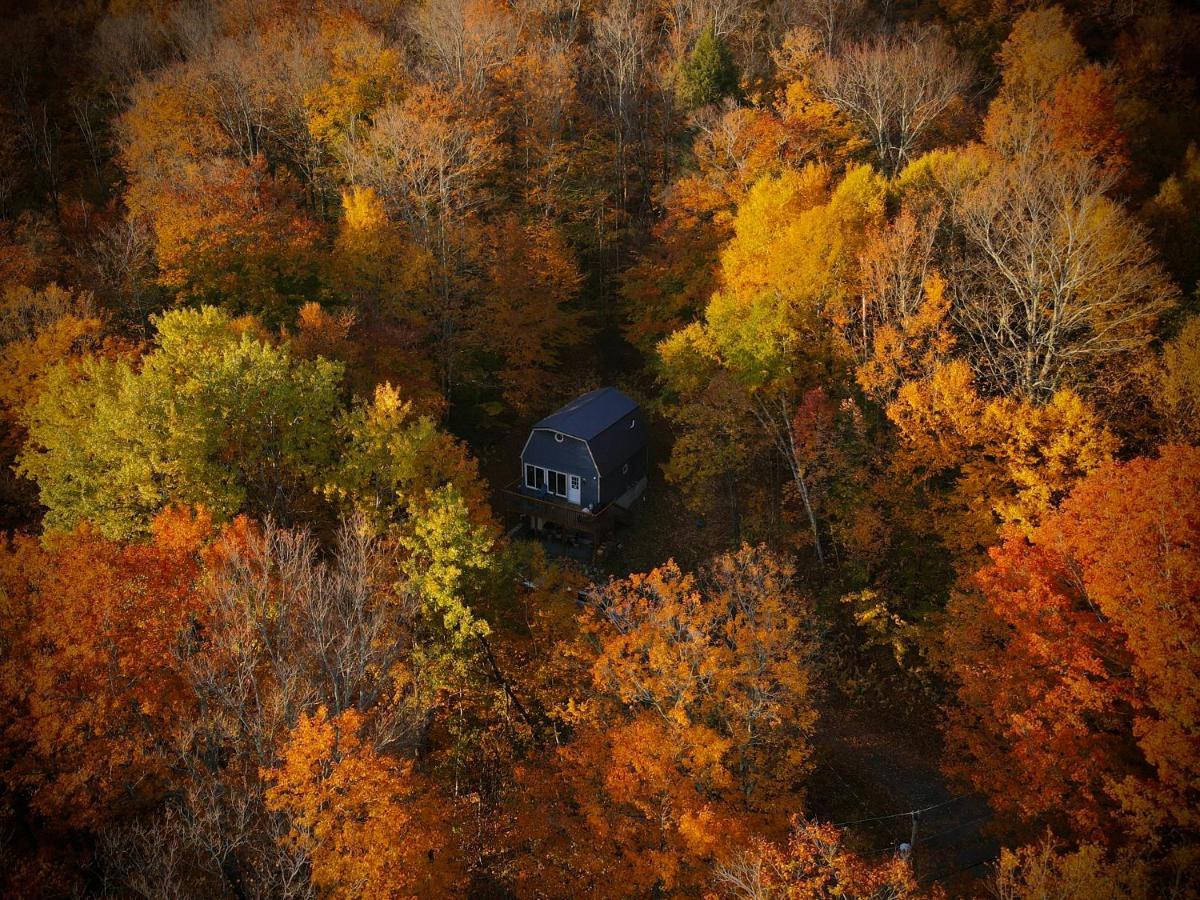 Mandy'S Mountain Chalet Dover Esterno foto